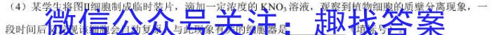 安师联盟2023年中考权威预测模拟考试（八）生物