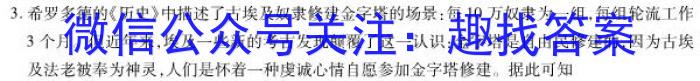 衡水名师卷 2023年辽宁名校联盟·信息卷(五)历史