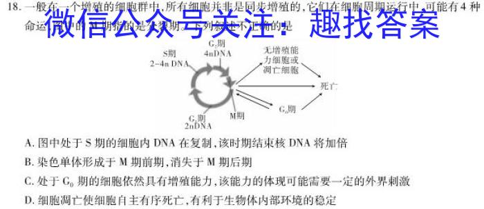 2024届广东高二年级4月联考生物