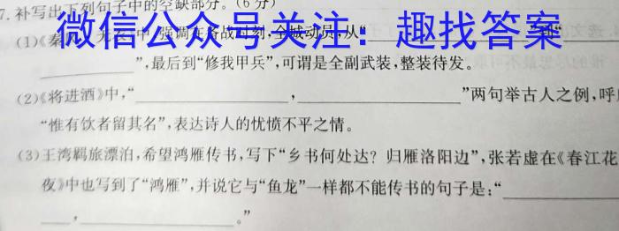 2023考前信息卷·第七辑 重点中学、教育强区 考前猜题信息卷(四)语文