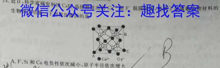 安师联盟2023年中考权威预测模拟试卷(二)化学