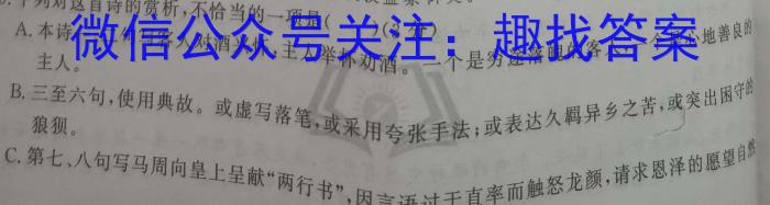 2023年河北省新高考模拟卷（六）语文