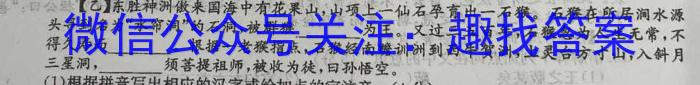 金考卷2023年普通高等学校招生全国统一考试 新高考卷 押题卷(一)语文