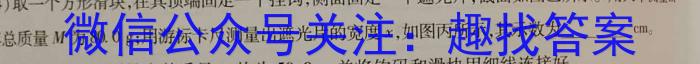 2023年湖北省新高考信息卷(五)l物理