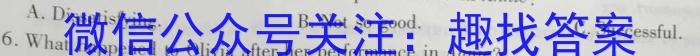 2023年陕西省初中学业水平考试•全真模拟（三）A版英语