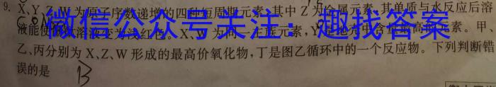 陕西省2023年普通高等学校招生全国统一考试 模拟测试(正方形包黑色菱形)化学
