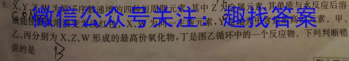 2023年普通高等学校招生全国统一考试 23·JJ·YTCT 金卷·押题猜题(九)化学