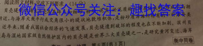 2023高考名校导航冲刺金卷(四)&政治