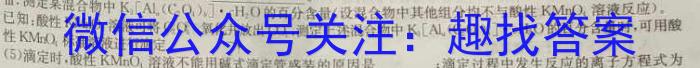 名校之约•安徽省2023年中考导向八年级学业水平测试（六）化学