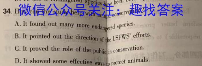 2023年普通高等学校招生全国统一考试仿真模拟卷(一)英语