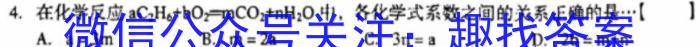 伯乐马 2023年普通高等学校招生新高考模拟考试(六)化学