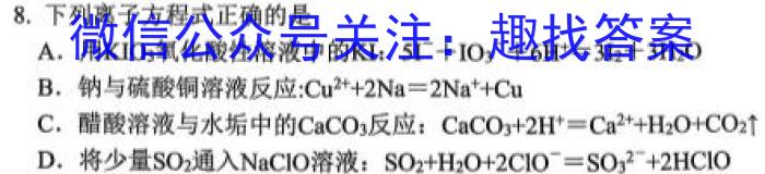 2023年普通高等学校招生统一考试 新S3·临门押题卷(一)化学