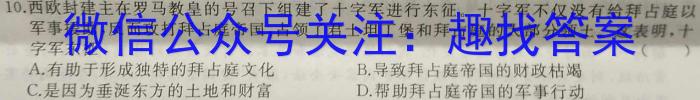 安徽省2022-2023学年度八年级下学期期中综合评估（6LR）历史