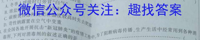 万唯中考2023年山西省初中学业水平考试（二）化学