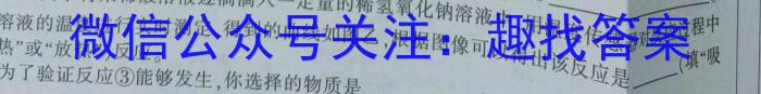 江西省2022-2023学年度七年级下学期期中综合评估（6LR）化学