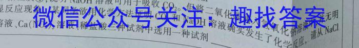 万唯中考2023年山西省初中学业水平考试（二）化学