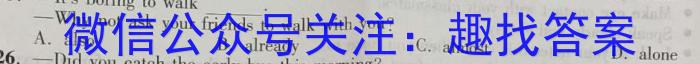 安徽省2023届九年级学情诊断考试英语