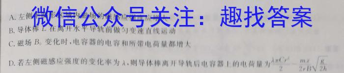 江西省2023年学科核心素养·总复习(八)物理`