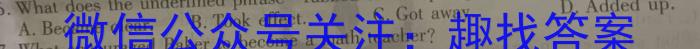 安师联盟2023年中考权威预测模拟试卷(二)英语