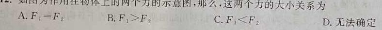 2023年普通高等学校招生全国统一考试冲刺预测·金卷(六)-物理