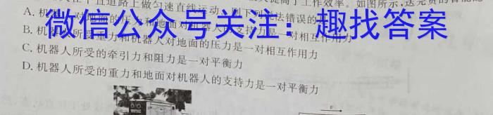 伯乐马 2023年普通高等学校招生新高考模拟考试(六)物理.