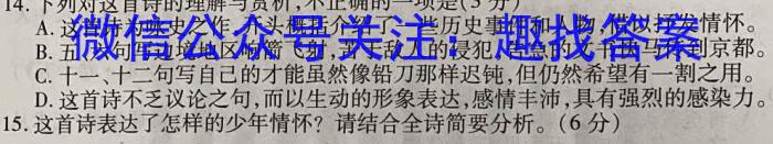 2023年湖北省孝感市高二期中考试语文