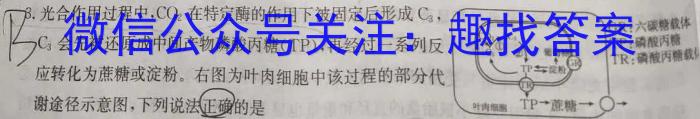 青桐鸣高考冲刺2023年普通高等学校招生全国统一考试冲刺卷(四)生物