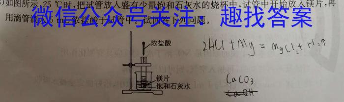 2023届高三随州一中 龙泉中学四月联考化学