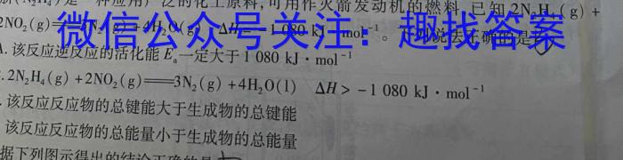 2023年高二年级九师联盟湖北省期中考试化学