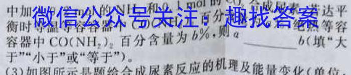 陕西省2022-2023学年汉阴县八年级期中学科素养检测(23-CZ201b)化学