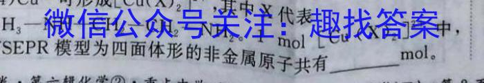 023年万友中考模拟卷（一）化学"