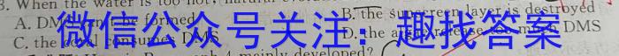 2025届广东大联考高一4月联考（23-388A）英语