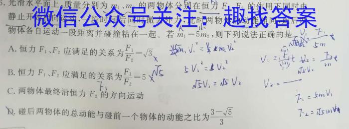 江淮名卷·2023年中考模拟信息卷（五）f物理