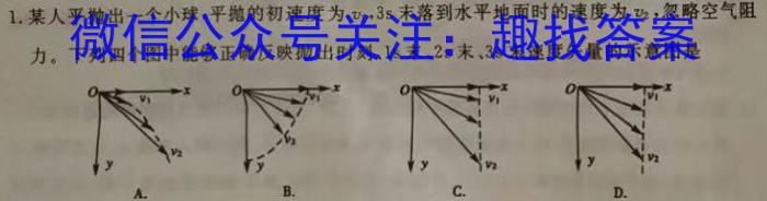 2023年河南决胜中招模拟试卷（二）物理`