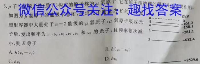 2023届全国老高考高三3月联考(标识※)物理.