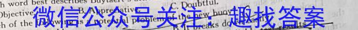 2023年安徽省示范高中皖北协作区第25届高三联考(23-300C)英语