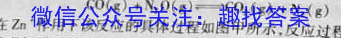 文博志鸿 2023年河北省初中毕业生升学文化课模拟考试(导向一)化学