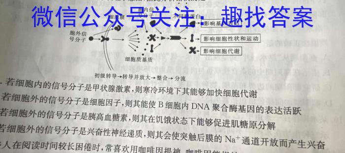 2023年普通高等学校招生全国统一考试冲刺卷(一)生物试卷答案