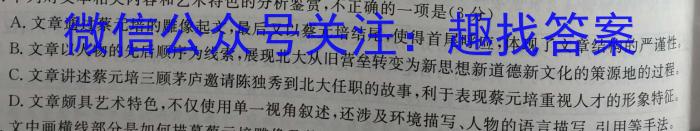 2023年普通高等学校招生全国统一考试仿真模拟卷(三)(四)语文