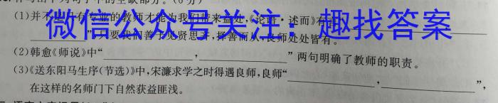 2023年陕西省初中学业水平考试·冲刺压轴模拟卷（三）语文