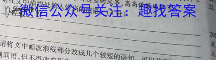 2023年河北省新高考模拟卷（四）语文