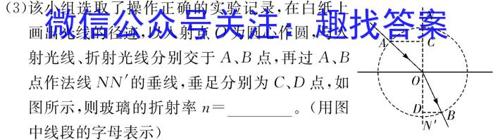 伯乐马 2023年普通高等学校招生新高考模拟考试(五)物理.