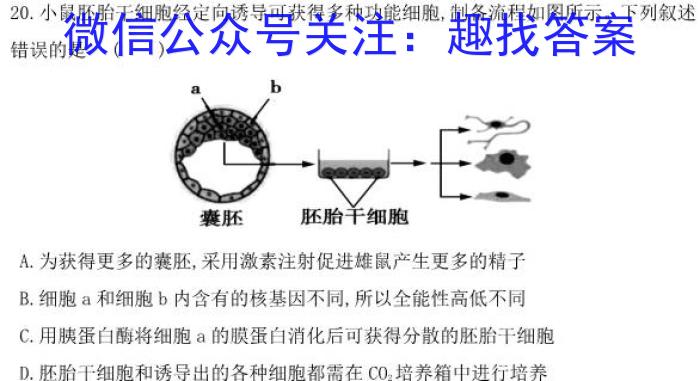 2023年吉林大联考高三年级4月联考生物试卷答案