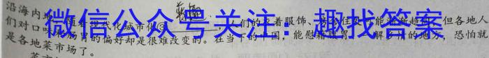 陕西省九年级联盟卷(23-CZ118c)语文