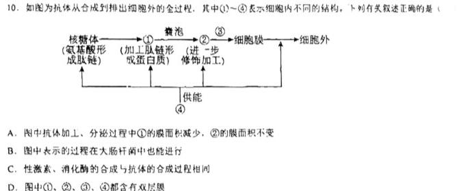 2023年全国高考·冲刺预测卷(四)生物