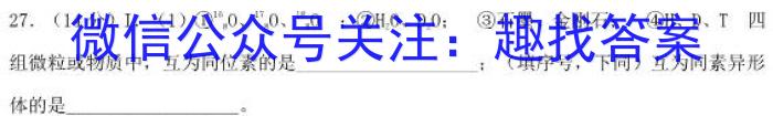 云南师大附中(师范大学附属中学)2023届高考适应性月考卷(九)化学