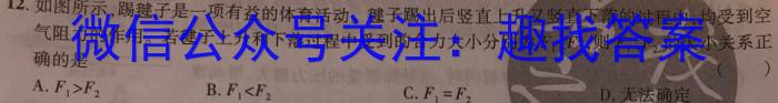 天一大联考 河南省2023年九年级学业水平模拟测评物理.