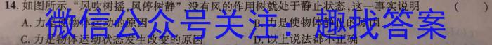 2023年普通高等学校招生全国统一考试仿真模拟卷(三)(四).物理