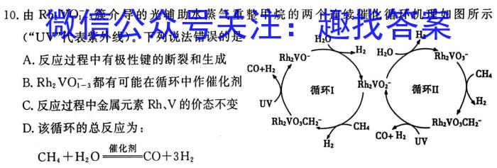 安徽省2025届七年级下学期教学评价二（期中）化学