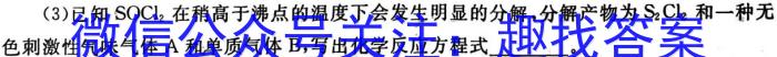 河南省2023年初中中招诊断测试卷化学